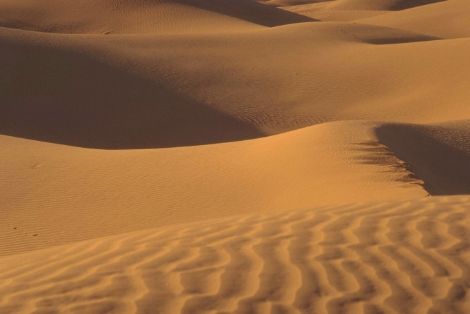 VIAJANDO       POR  EL   DESIERTO